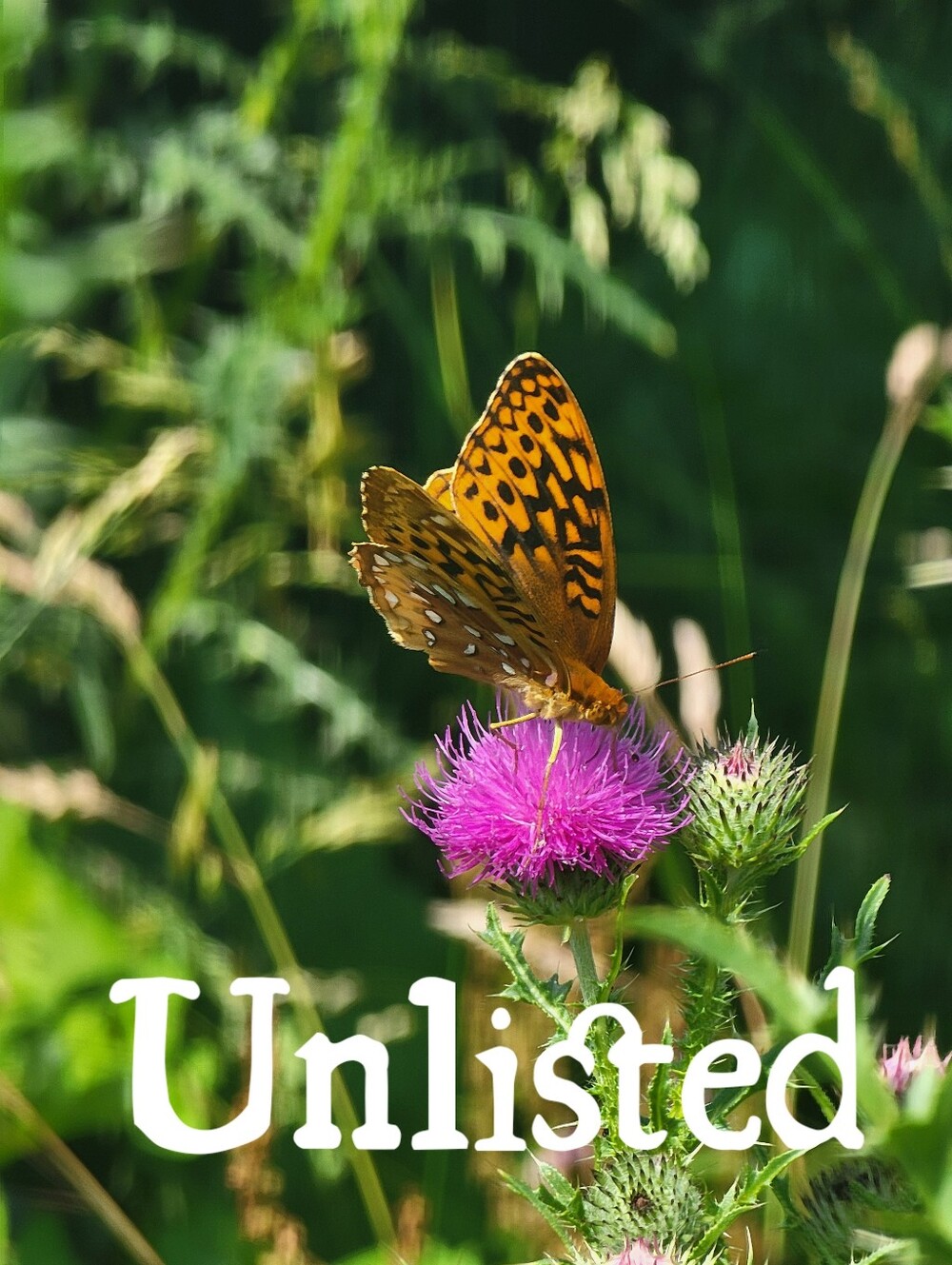 Unlisted